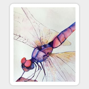 Dragonfly in aquarelle Magnet